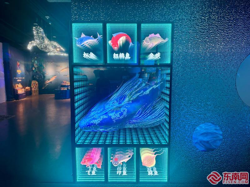 莆田首现国风深海VR体验展 开启沉浸式奇幻之旅